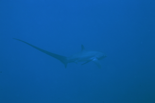 d0021952_10253158.jpg