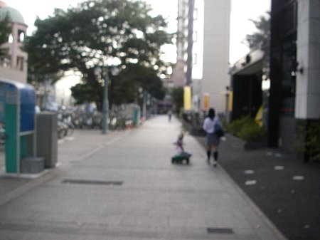 a0056654_0132983.jpg