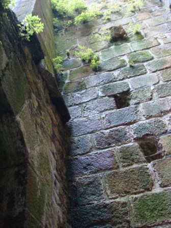 f0047764_21471956.jpg