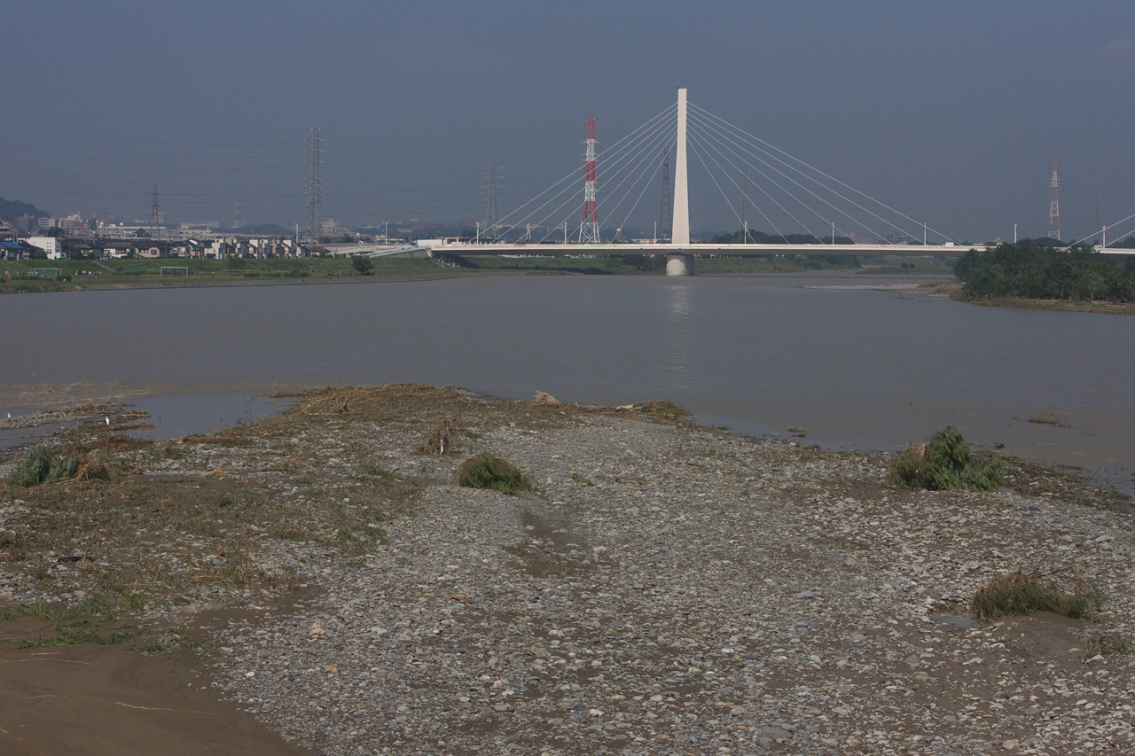 e0060169_8483787.jpg