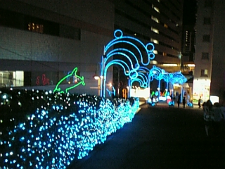 c0127670_1543792.jpg