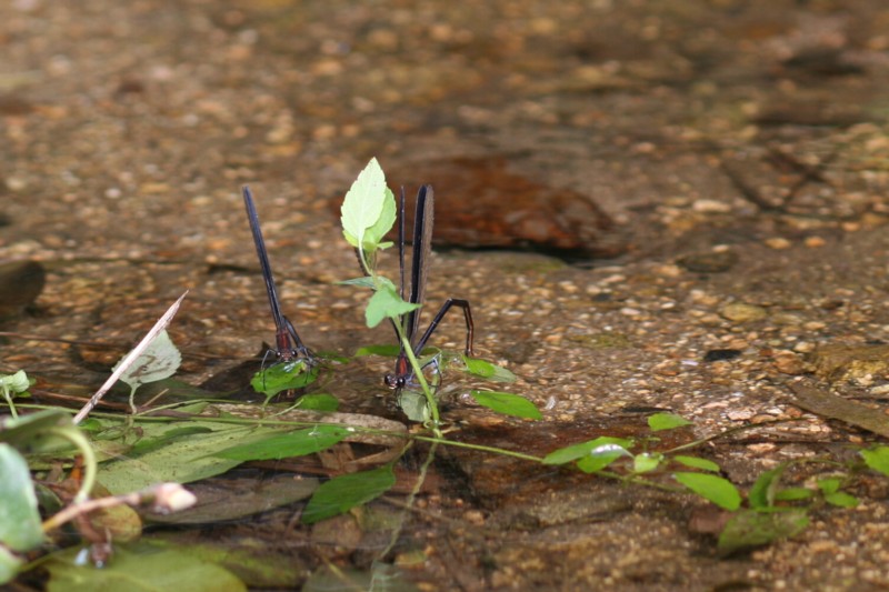 b0088772_19282877.jpg
