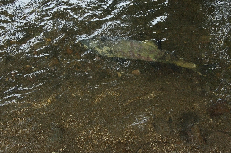 a0016775_2259373.jpg