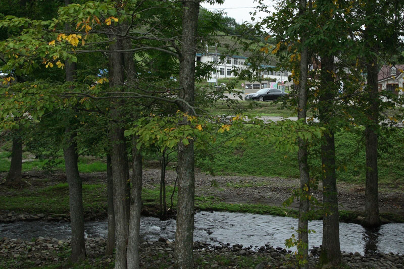 a0016775_2303489.jpg