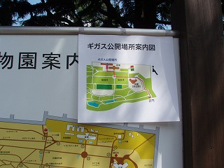 c0105785_16294170.jpg