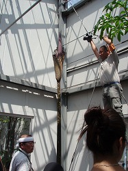 c0105785_1657521.jpg