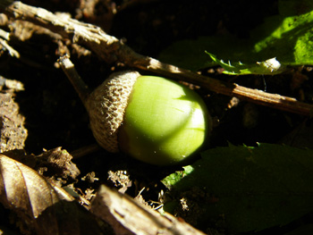 d0045295_23541720.jpg
