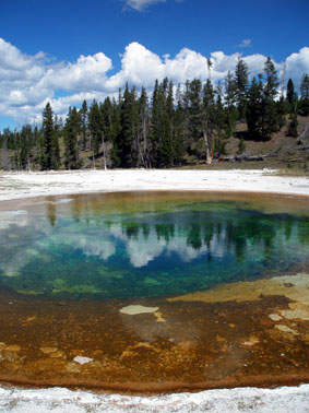 c0061496_1059448.jpg