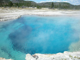 c0061496_115137.jpg