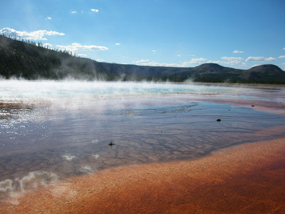 c0061496_115499.jpg