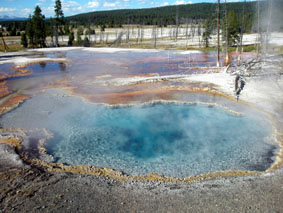 c0061496_119246.jpg