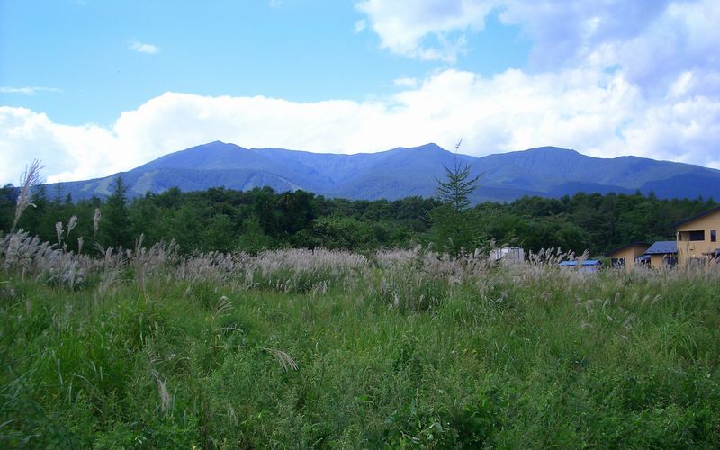 d0069498_9213086.jpg