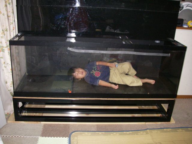 e0010301_1343273.jpg
