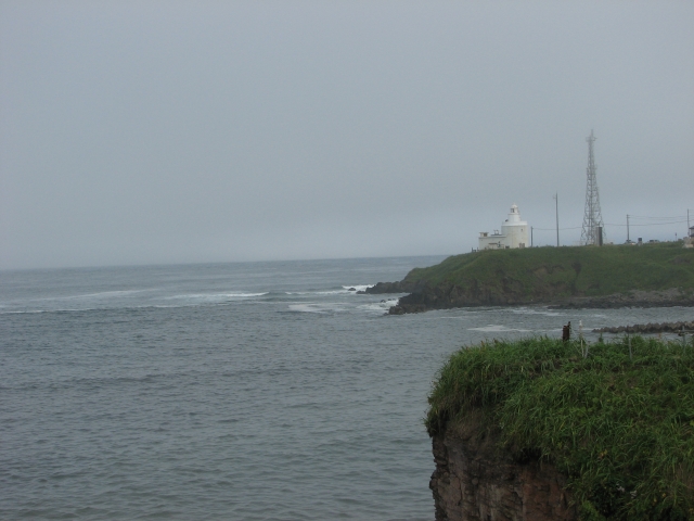 f0020302_23332928.jpg
