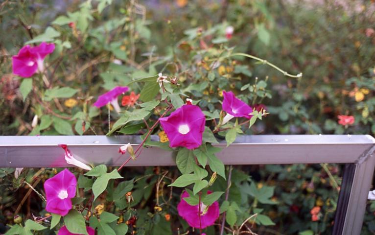 d0071507_23304186.jpg