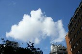 d0051614_5192318.jpg