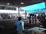 e0027219_1638898.jpg