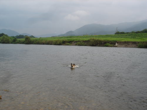 c0090220_9372261.jpg