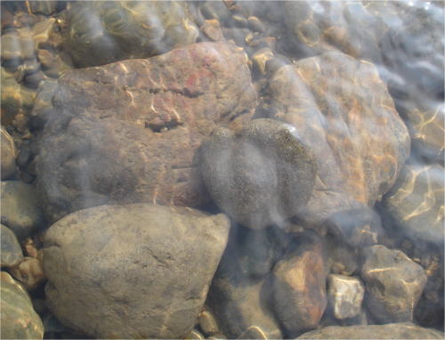 c0090220_9532926.jpg