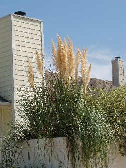f0006724_0452933.jpg