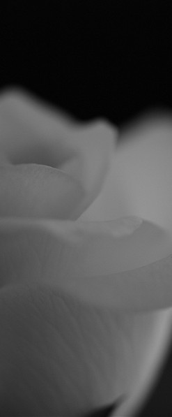 e0107030_23292186.jpg