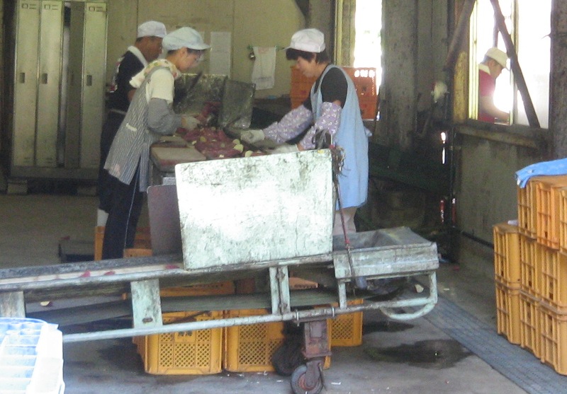 f0042737_932457.jpg