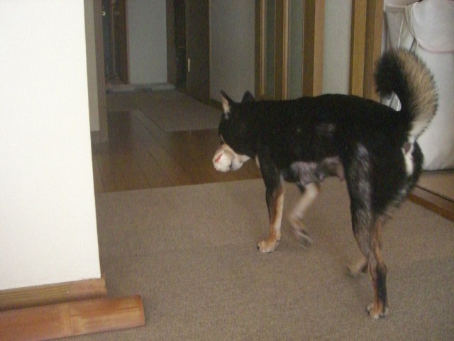 e0025240_2112370.jpg