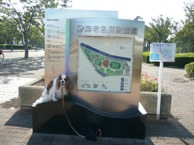 e0115541_101439100.jpg