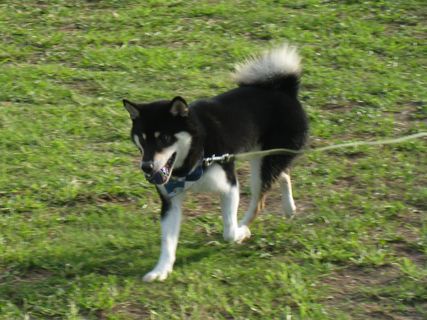 f0058241_21143714.jpg