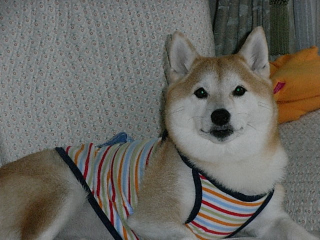 f0075043_16181093.jpg