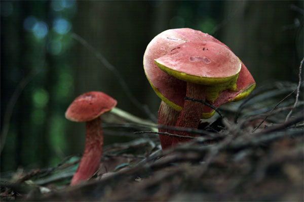 f0147858_15203817.jpg