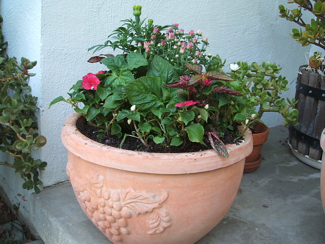 c0115366_1744936.jpg