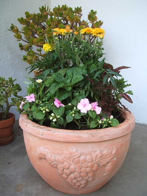 c0115366_1762473.jpg
