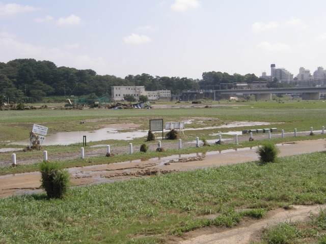 e0078069_2104368.jpg