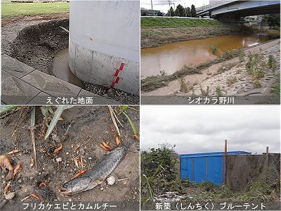 c0091679_2155116.jpg
