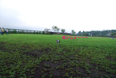 c0092787_10394020.jpg