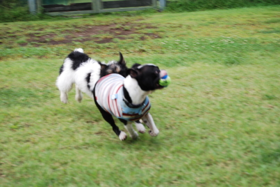 c0092787_10473590.jpg
