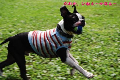 c0092787_10485567.jpg