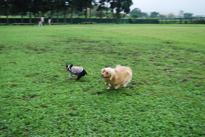 c0092787_10494329.jpg