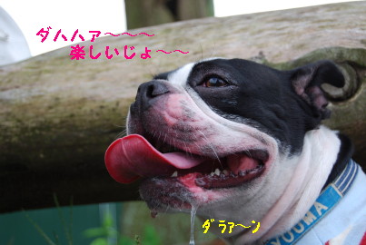 c0092787_1051371.jpg