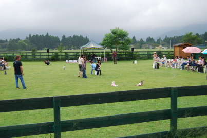 c0092787_10545080.jpg