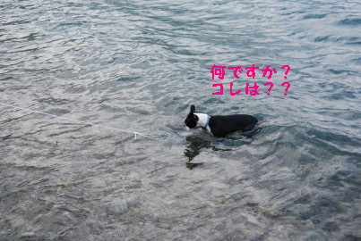 c0092787_11103796.jpg