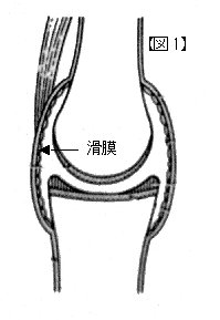 c0068891_16134862.jpg