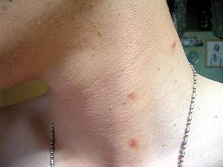 b0052195_2174851.jpg