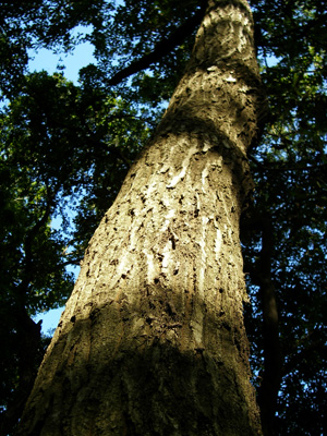 d0045295_042114.jpg