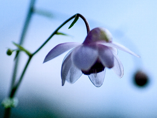 c0008502_1031914.jpg