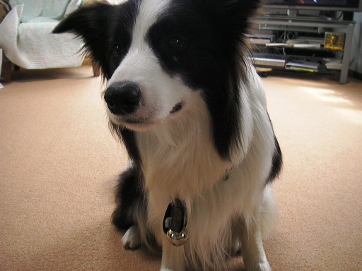 f0034602_19234762.jpg