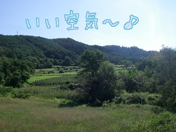 d0122403_202878.jpg