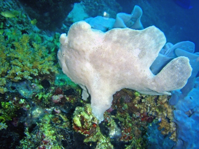 e0121018_0503792.jpg