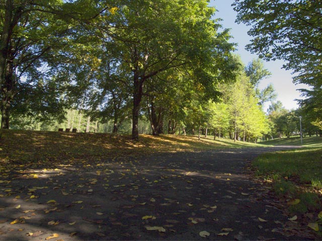 b0085526_9302585.jpg